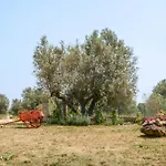 Bio Terre Di Naioli * Pitigliano
