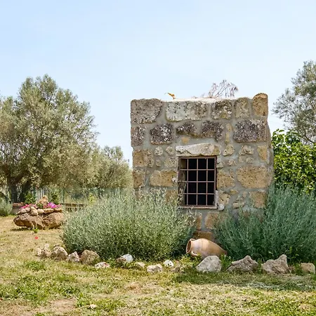 Séjour à la ferme Bio Terre Di Naioli