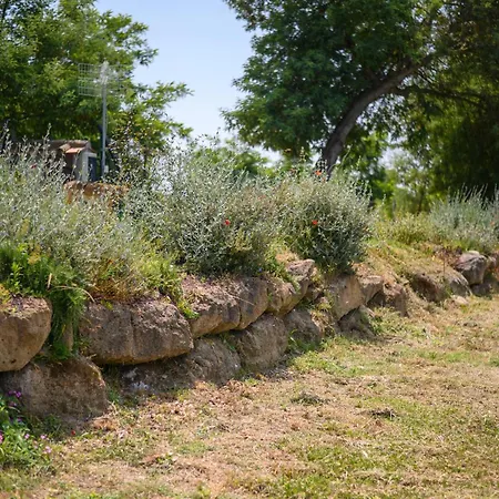 Bio Terre Di Naioli Séjour à la ferme Pitigliano