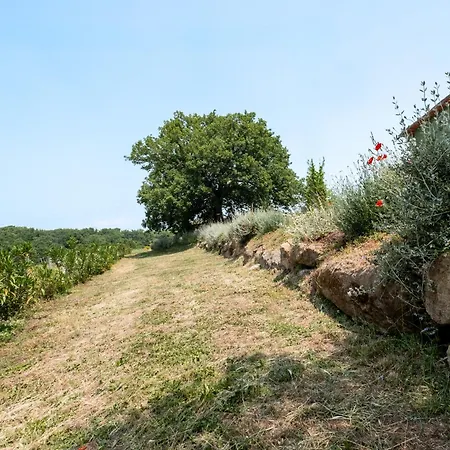 Séjour à la ferme Bio Terre Di Naioli *