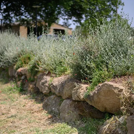 Feriegård Bio Terre Di Naioli