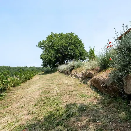 Bio Terre Di Naioli Feriegård Pitigliano