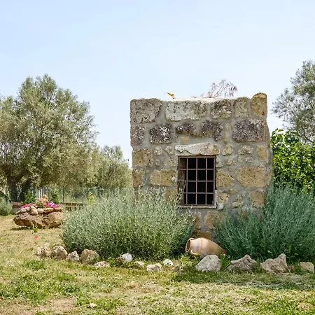 Bio Terre Di Naioli Feriegård Pitigliano