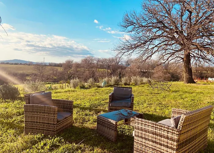 Alloggio per agriturismo Bio Terre Di Naioli